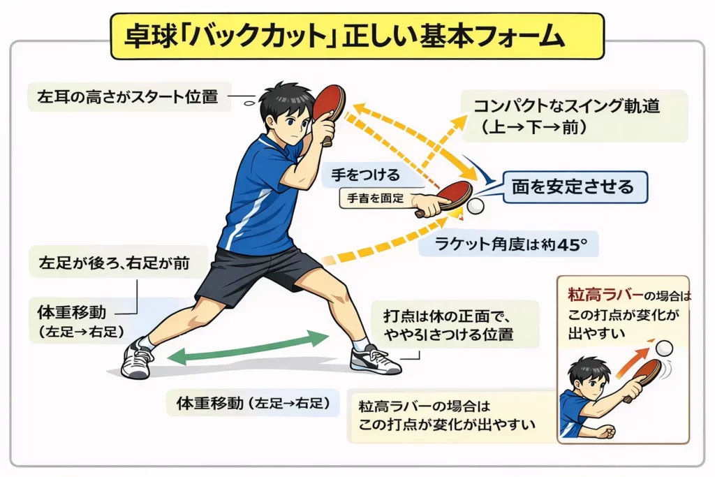卓球バックカットの正しい基本フォームを示す図解。左耳の高さからのコンパクトなスイング、ラケット角度45度、左足から右足への体重移動、打点を体の正面に取る姿勢を説明。
