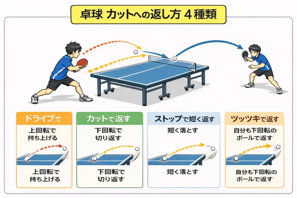 卓球カットへの返し方を比較した図解。下回転に対してドライブで上書きする方法、カットで返す方法、ストップで短く返す方法、ツッツキで返す方法の4種類のレシーブを視覚的に説明。