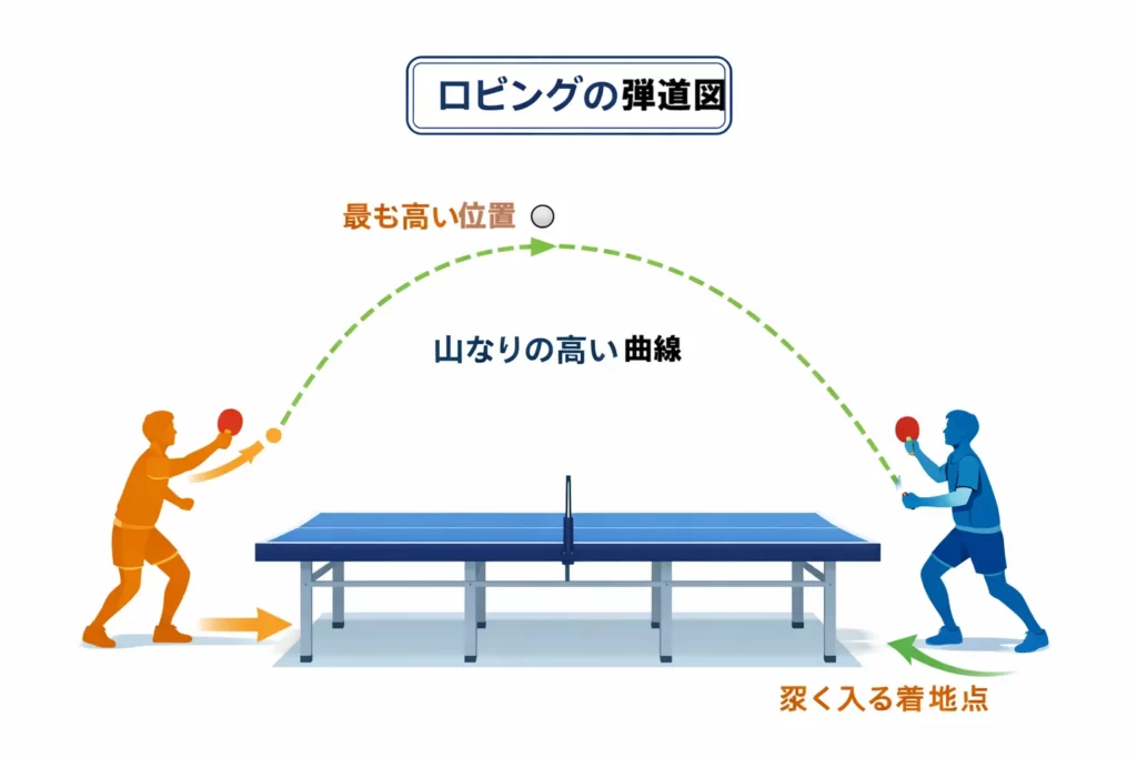 卓球ロビングの弾道を示す図。高い山なりの軌道で深く返球する守備技術のイメージ。